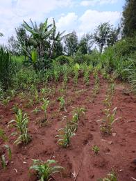 Land For Sale Kerarapon. Ngong Kajiado
