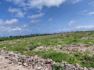 Land For Sale Watamu Ocean Front Ocean Front Watamu Kilifi