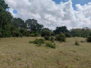 Commercial Land For Sale Watamu, Mijomboni Area Watamu Kilifi