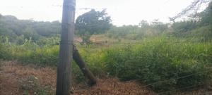 Land For Sale 16 Acres For Sale – Likii, Nanyuki Nanyuki Laikipia
