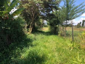 Residential Land For Sale Juakali Road, Nanyuki Nanyuki Laikipia