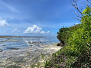 Land For Sale Kuruwitu Beach Shimo La Tewa Kilifi