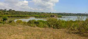 Land For Sale Mtwapa Creek Mtwapa Kilifi