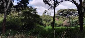 Land For Sale Nairobi Karen 