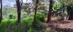 Land For Sale Nairobi Karen 