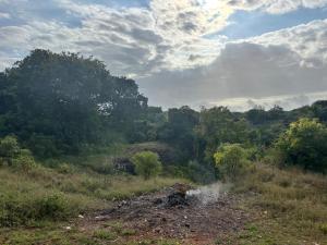 Land For Sale Diani Beach Rd Ukunda. Kwale