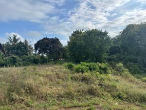 Land For Sale Diani Beach Ukunda Diani Ukunda Kwale