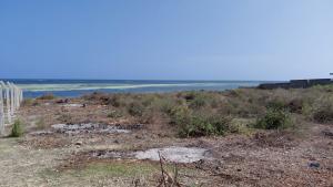 Land For Sale Jacaranda Beach. Watamu Kilifi