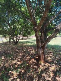 Land For Sale Kilifi , Bofa Mnarani Kilifi
