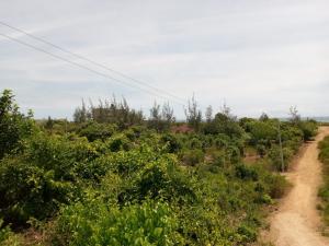 Land For Sale Kikamabala Watamu Kilifi