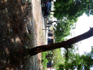 Land For Sale Mtwapa Kilifi