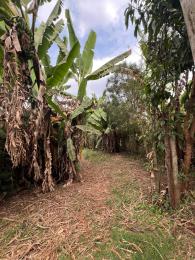 Land For Sale Kibichoi Githunguri Kiambu