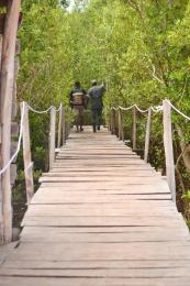 Land For Sale Malindi, Sabaki Malindi Malindi Town Kilifi