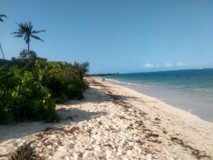Land For Sale Matsangoni Kilifi