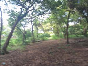 Land For Sale Nyali Mombasa 