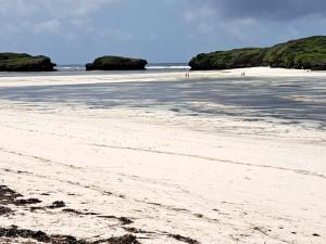 Land For Sale Watamu Fortamu Watamu Kilifi