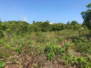 Land For Sale Off Diani Link Rd Diani Ukunda Kwale