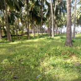 Land For Sale Kikambala Kibarani Kilifi