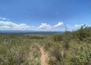Land For Sale Malewa West Nakuru