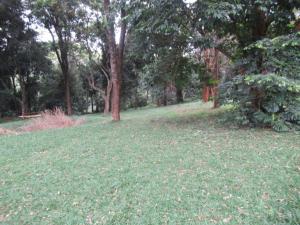 Land For Sale Mushroom Gardens Thindigua Nairobi