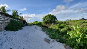 Land For Sale Watamu Jacaranda Watamu Kilifi