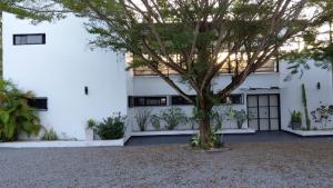 4 bedroom House For Sale Watamu Kilifi Ocean Front Ocean Front Watamu Kilifi