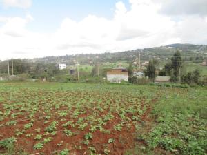 Land For Sale Ngong Suswa Rd Kibiko Ngong Kajiado