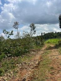 Land For Rent Gitutha,thigio Kikuyu Kiambu