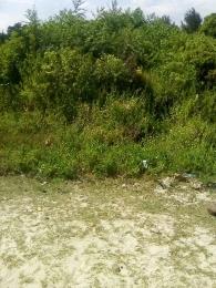 Land For Sale Kilifi Bofa Mnarani Kilifi