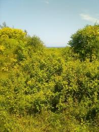 Land For Sale Bofa Kilifi Ocean Front Watamu Kilifi