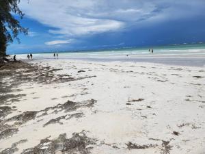 Land For Sale Diani Kenya Diani Beach Ukunda Kwale