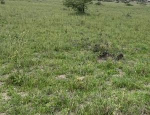 Land For Sale Mombasa Road Near Signature Mall Athi River Machakos