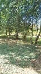 Land For Sale Karen Nandi Rd Nairobi Karen 