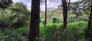 Land For Sale Kikenni Road Karen Nairobi