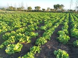 Land For Sale Kajiado1 Kitengela 
