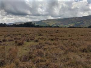 Land For Rent Kipipiri Karau Nyandarua