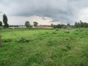 Land For Sale Kikuyu Town Kikuyu. Kiambu