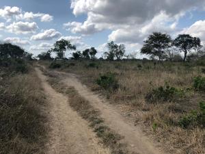 Land For Sale Malindi Malindi Town Kilifi