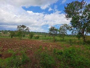 Land For Sale Kaloleni Road Mavueni Bypass Mariakani Kilifi