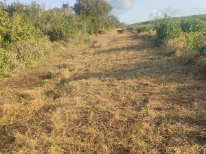 Land For Sale Malindi, Marereni Adu Kilifi