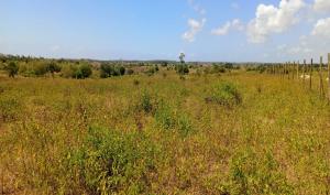Land For Sale Kilifi Creek Mnarani Kilifi