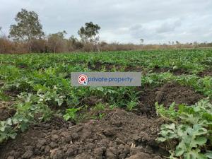 Mixed use Land For Sale  marereni Malindi Town Kilifi