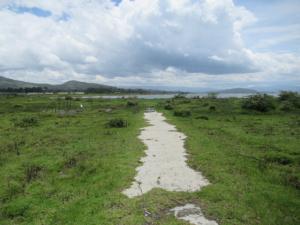 Land For Sale Moi South Lake Rd Naiavsha Naivasha East Nakuru