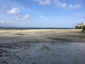 3 bedroom Apartment Short let Behind Citymall Nyali Mombasa