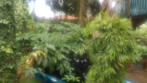 1 bedroom Bedsitter (Single Room) For Rent Mathaithi Area Karatina Town Nyeri