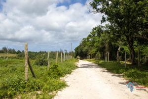 Land For Sale Ganda–furunzi Side Of Malindi Malindi Town Kilifi