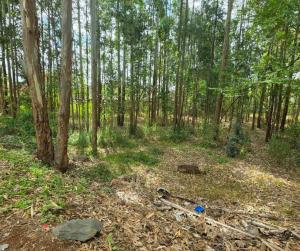 Land For Sale Ridgeways Westlands Nairobi