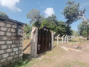 Land For Sale 🚨 Hot Investment Alert – Kilifi 🚨 📍 Near Pwani University Kilifi. Malindi Town 