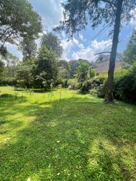 Land For Sale Karen Mwitu Estate Nairobi Karen 