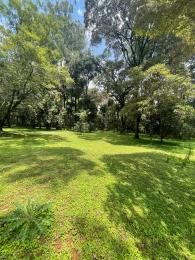Land For Sale Karen Mwitu Nairobi Karen 